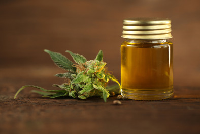 Focus On: Che differenza c’è tra l’olio di CBD dor Focus On: Che differenza c’è tra l’olio di CBD dor