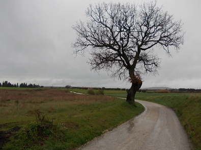 Cammino di 11.000 Km: quarto giorno 


