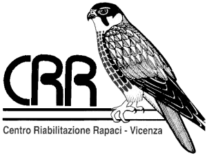 centro riabilitazione rapaci