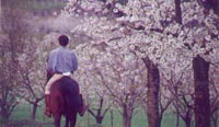 Passeggiata a cavallo intorno a Castegnero