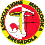 associazione micologica