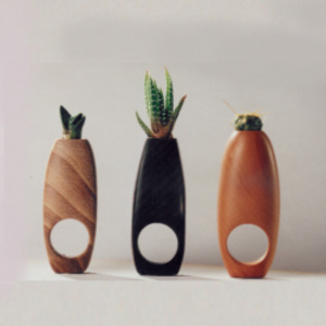 Food design Food design