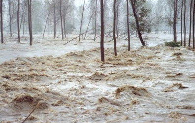 Alluvione: primo bilancio del Comune di Caldogno Alluvione: primo bilancio del Comune di Caldogno