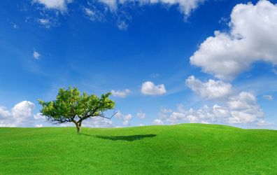 Valstgna: nata dall'acqua, cresciuta sulla roccia Valstgna: nata dall'acqua, cresciuta sulla roccia