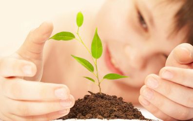 Vicenza: Fitoalimurgia, la scienza delle erbe spon Vicenza: Fitoalimurgia, la scienza delle erbe spon
