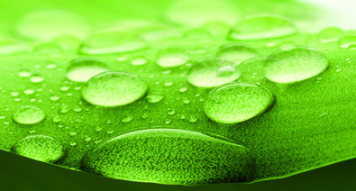 Focus On: Produzione green per Siliconi Commercial
