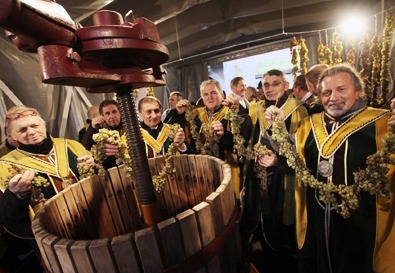 Breganze: prima spremitura delle uve di Vespaiola Breganze: prima spremitura delle uve di Vespaiola