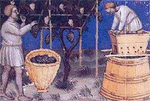 Festa dell’Uva e del Vino XXXIV^ edizione