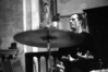 Roberto Dani e Daniele Roccato in concerto