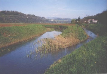 Il Retrone, piccolo, Grande fiume Il Retrone, piccolo, Grande fiume
