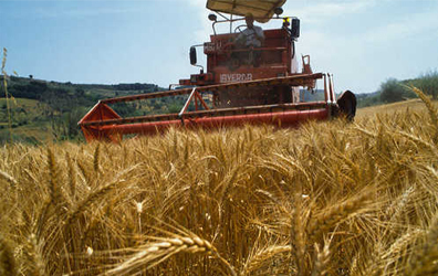 Al via il 6° censimento generale dell'agricoltura